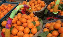 杏红视频,揭秘生活美好瞬间，感受人间烟火气